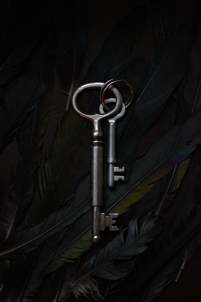 about-us-02 Vintage keys resting on a feathered surface, showcasing antique elegance.